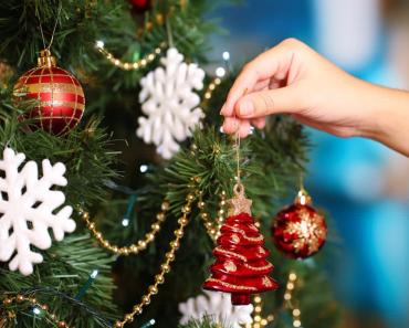 Christmas tree or pine: Which tree should not be put up for the New Year?