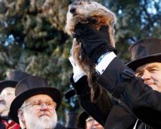 Viskas, ką norėtumėte žinoti apie Groundhog Day