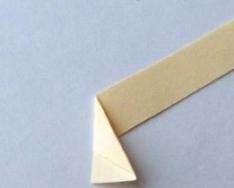 Kā izgatavot papīra rozi, izmantojot origami tehniku